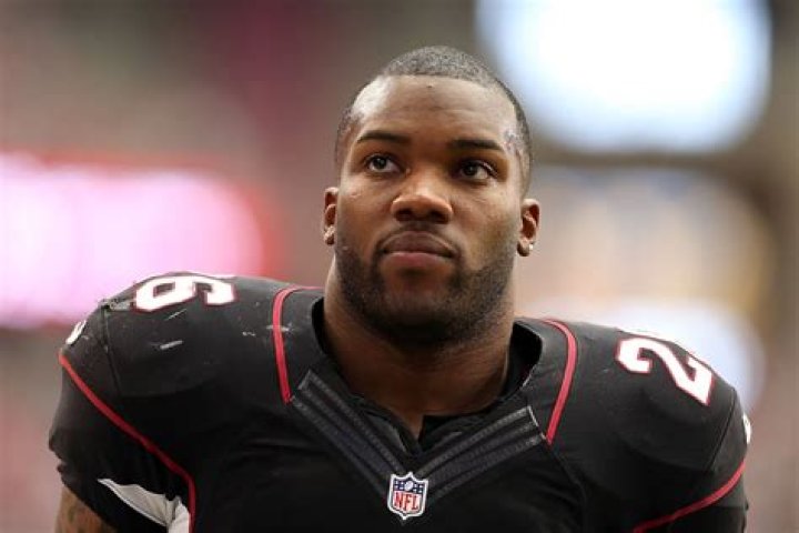 Beanie Wells Net Worth