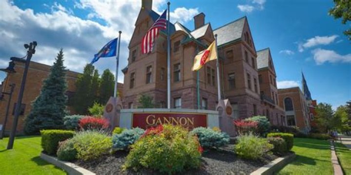 Gannon Brousseau Net Worth