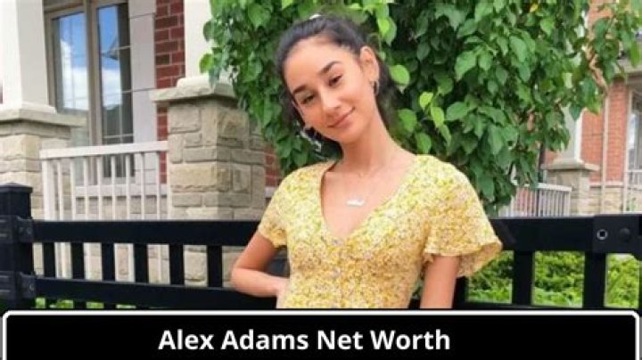 Sean Adams Net Worth